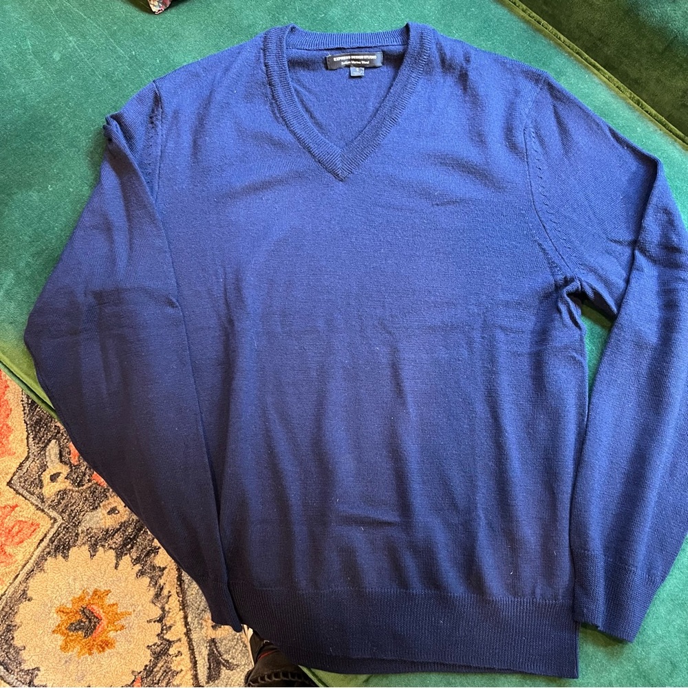 Express Design Studio merino wool v-neck sweater